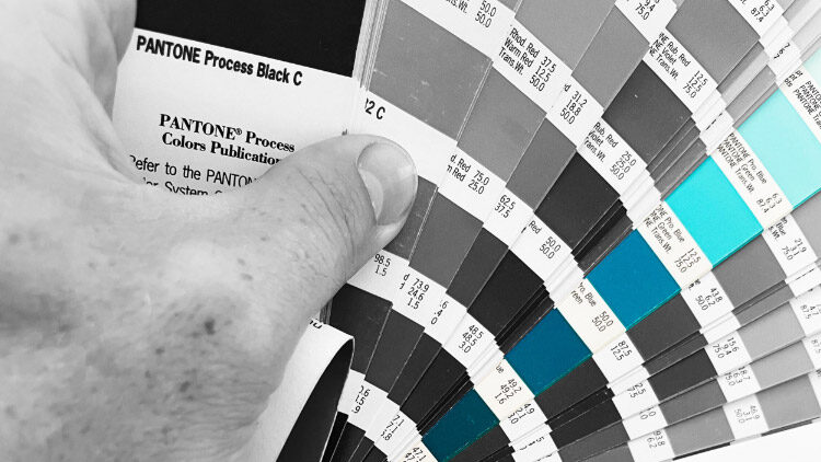 WP Creative, Design and Marketing Agency Suffolk, Branding Services, Paint Swatches